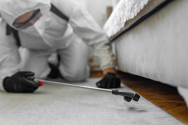 Professional Bed Bug Control technician working in La Porte, IN